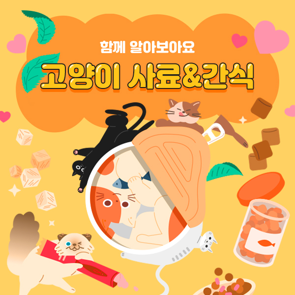 고양이 정보성 카드뉴스