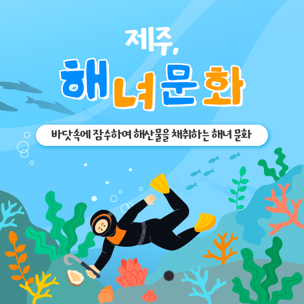 고급형 카드뉴스